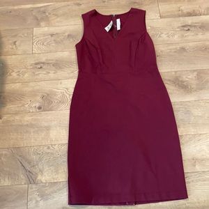 Loft sheath dress in cranberry, 6P, NWT